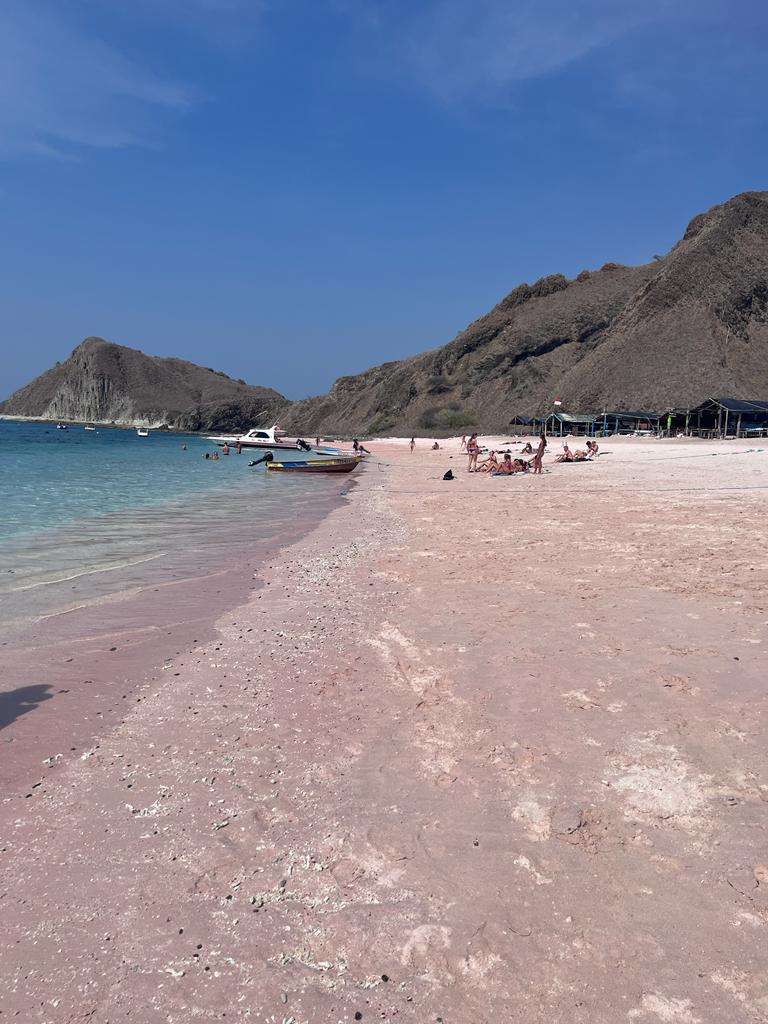 20: Mantarochen, Komodo-Drachen und Pink-Beach