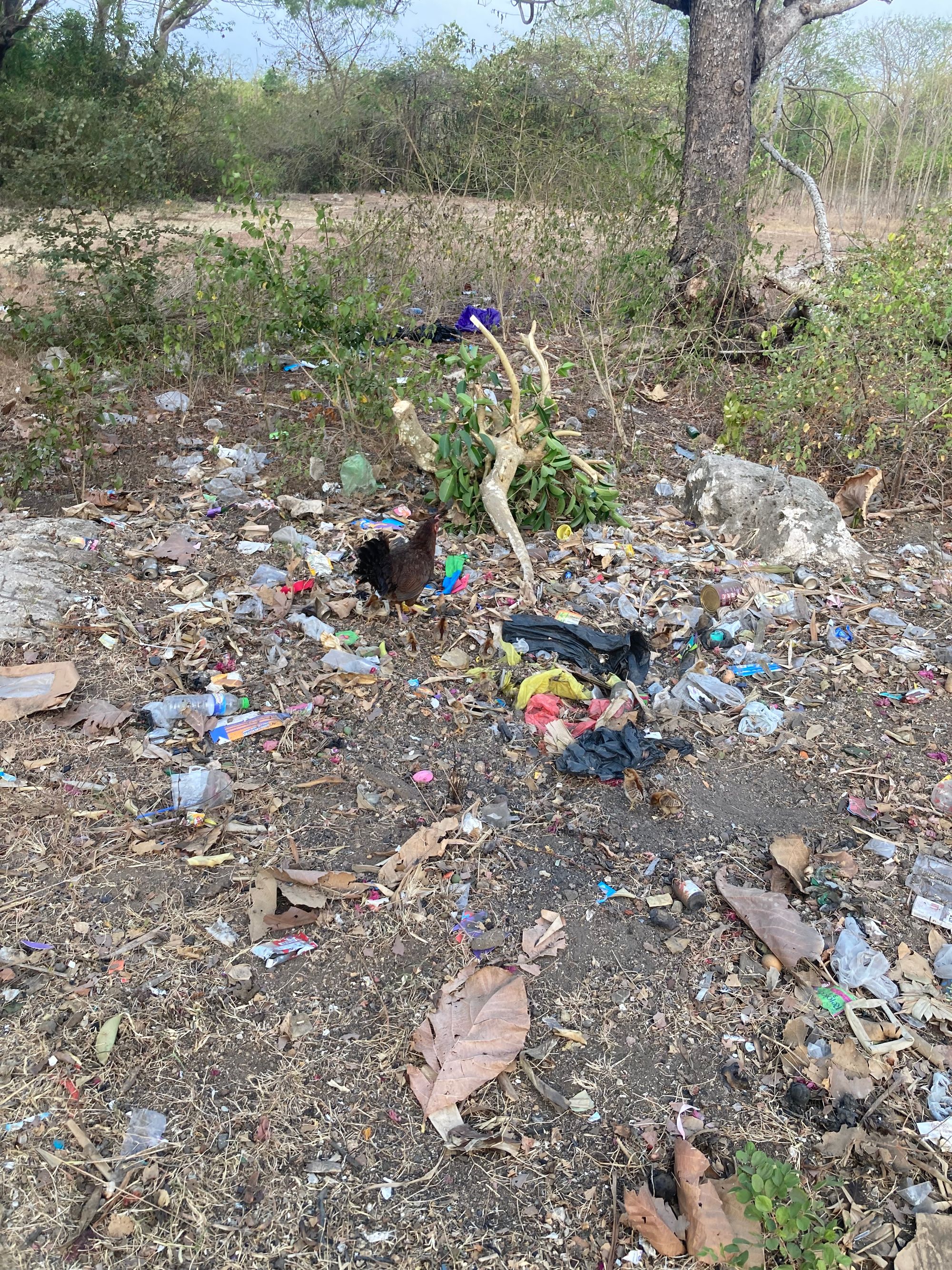 4: Nach Nusa Lembongan