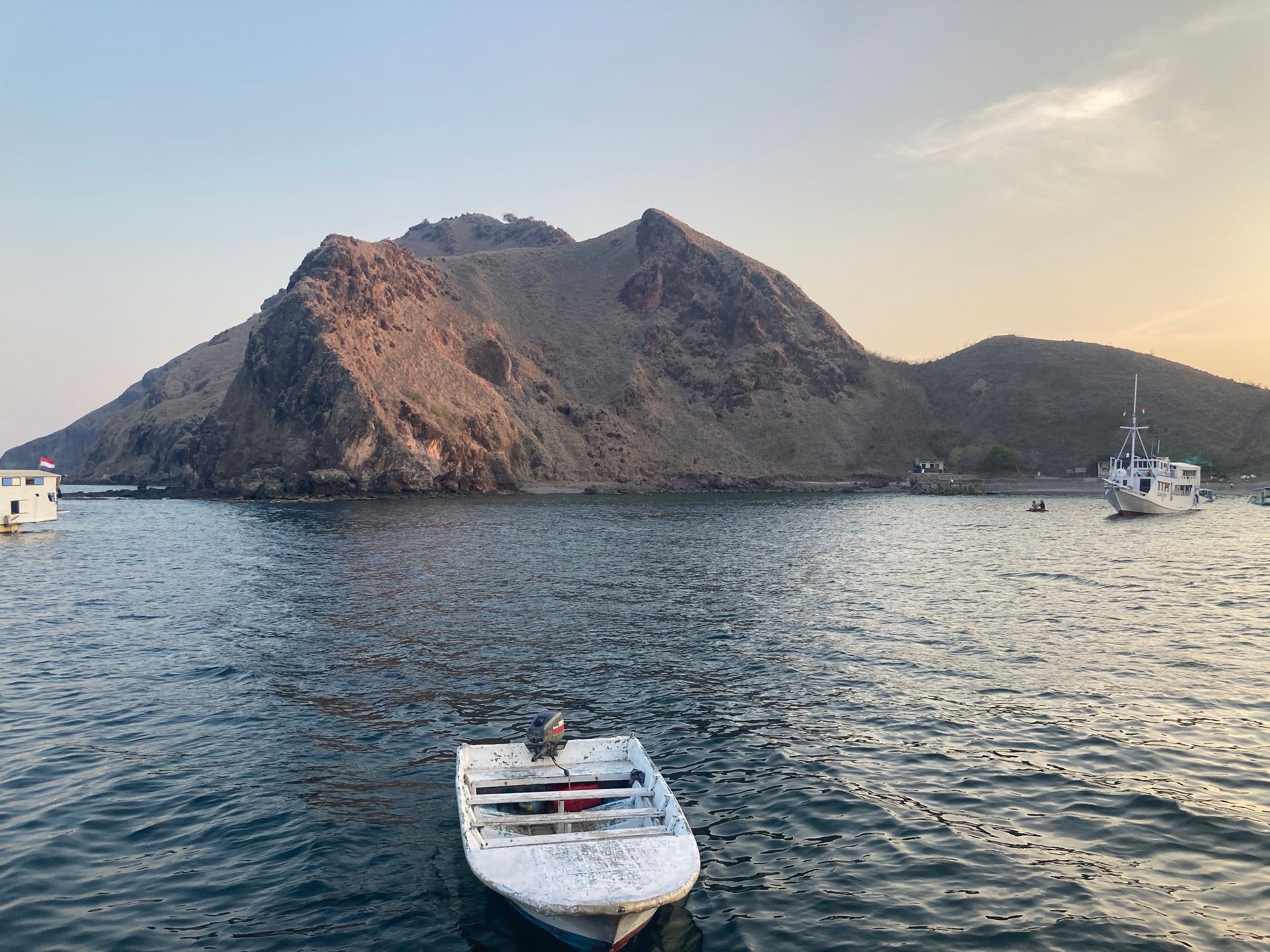 21: Baby-Haie und zurück an Land