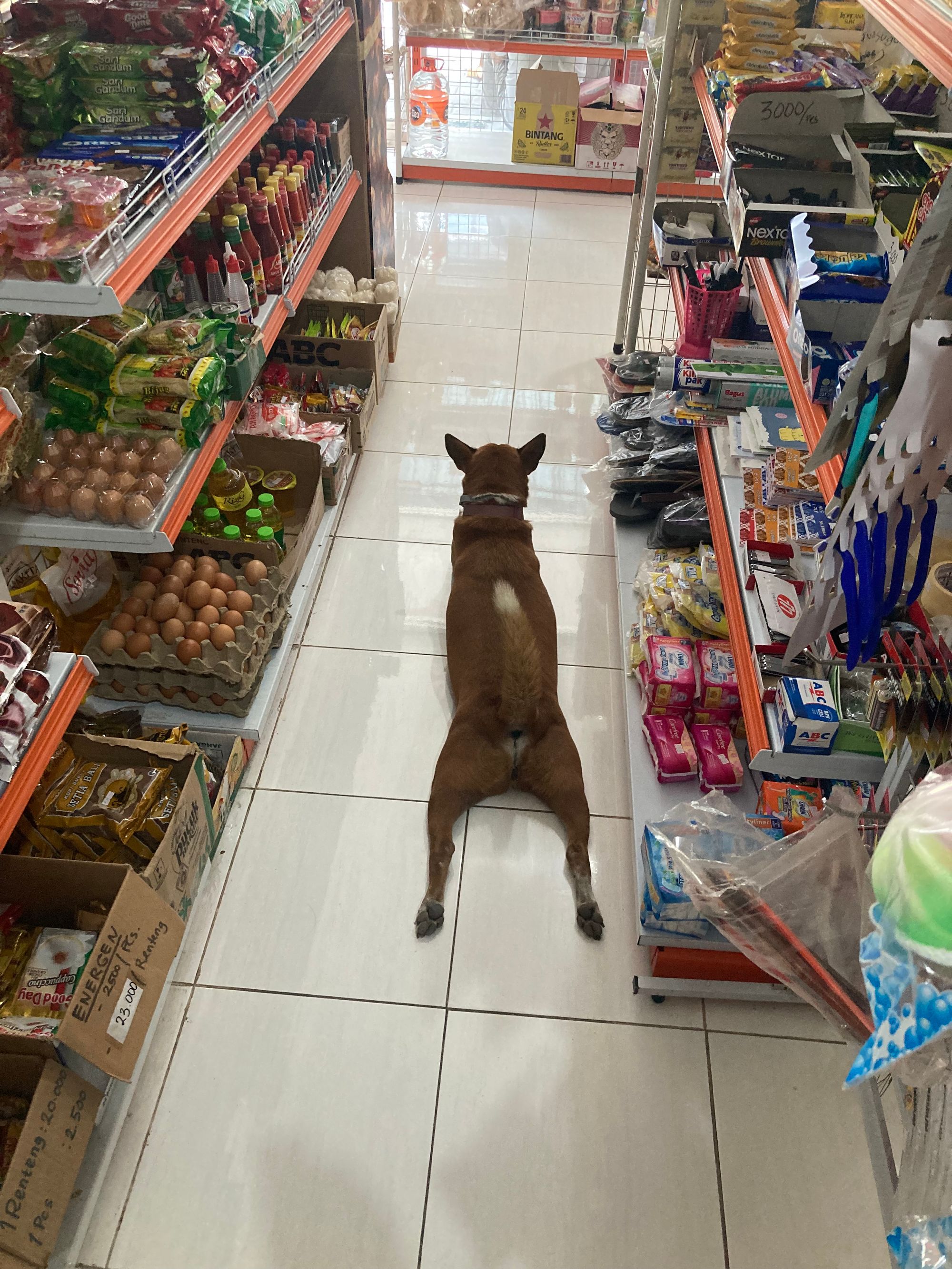 30: Auf in die Philippinen