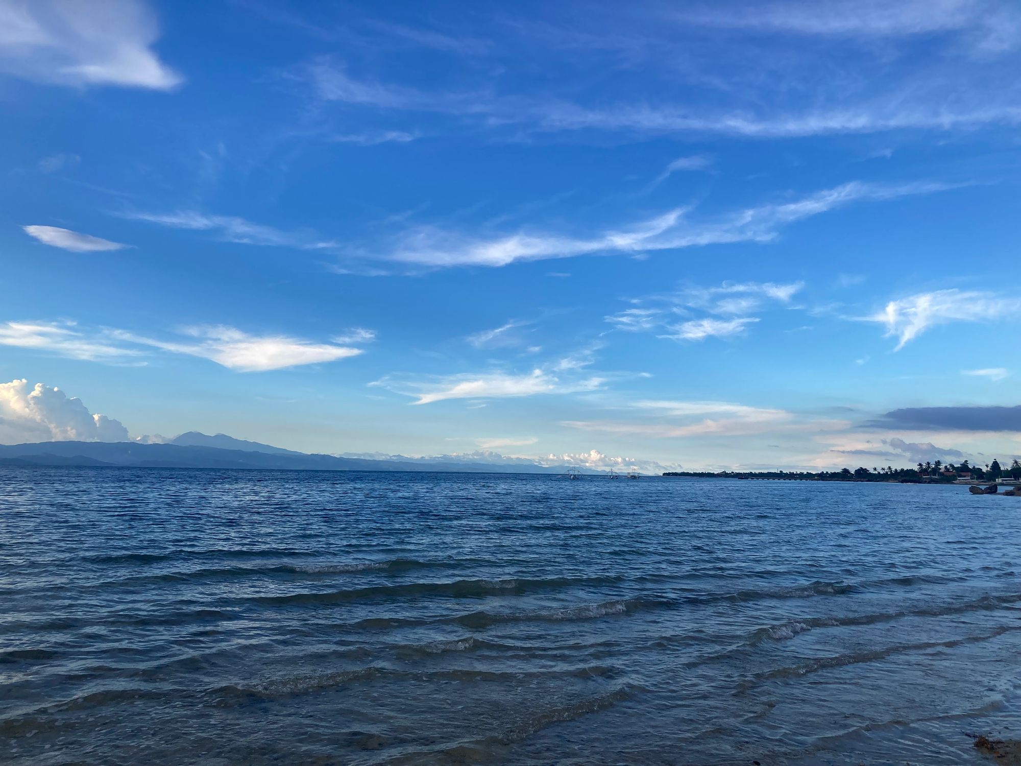 33: Schwimmen mit Sardinen