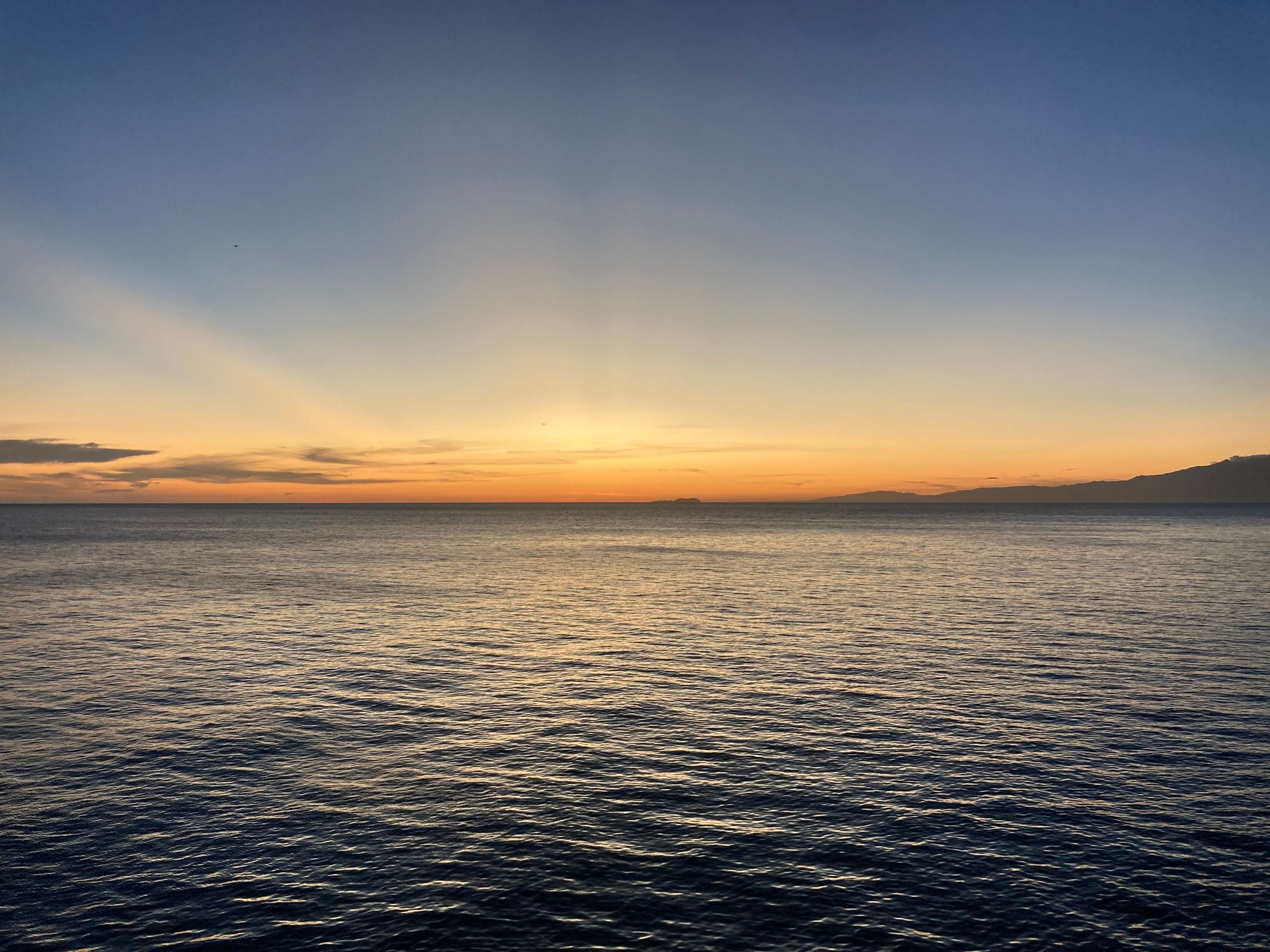 37: Schmetterlinge und Strand