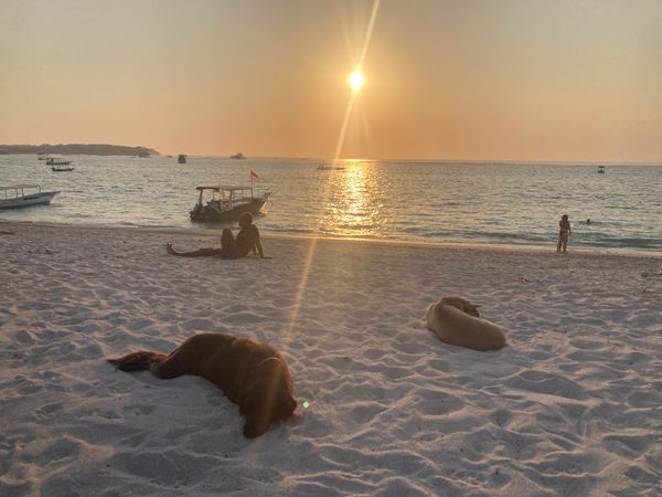 5: Surfen und Schürfwunden