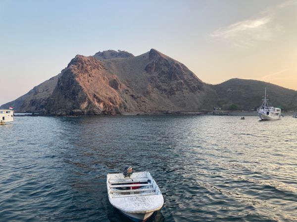 21: Baby-Haie und zurück an Land