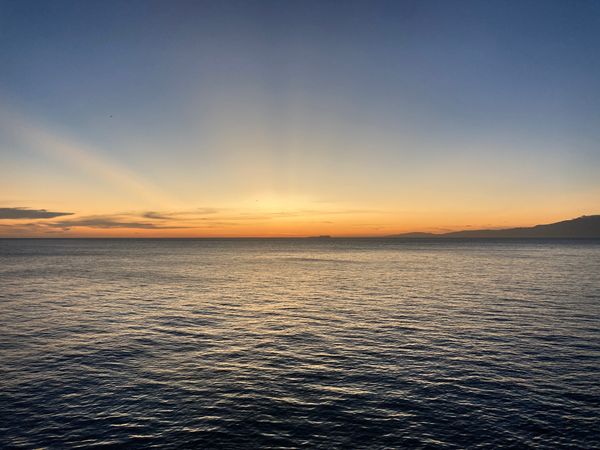 37: Schmetterlinge und Strand